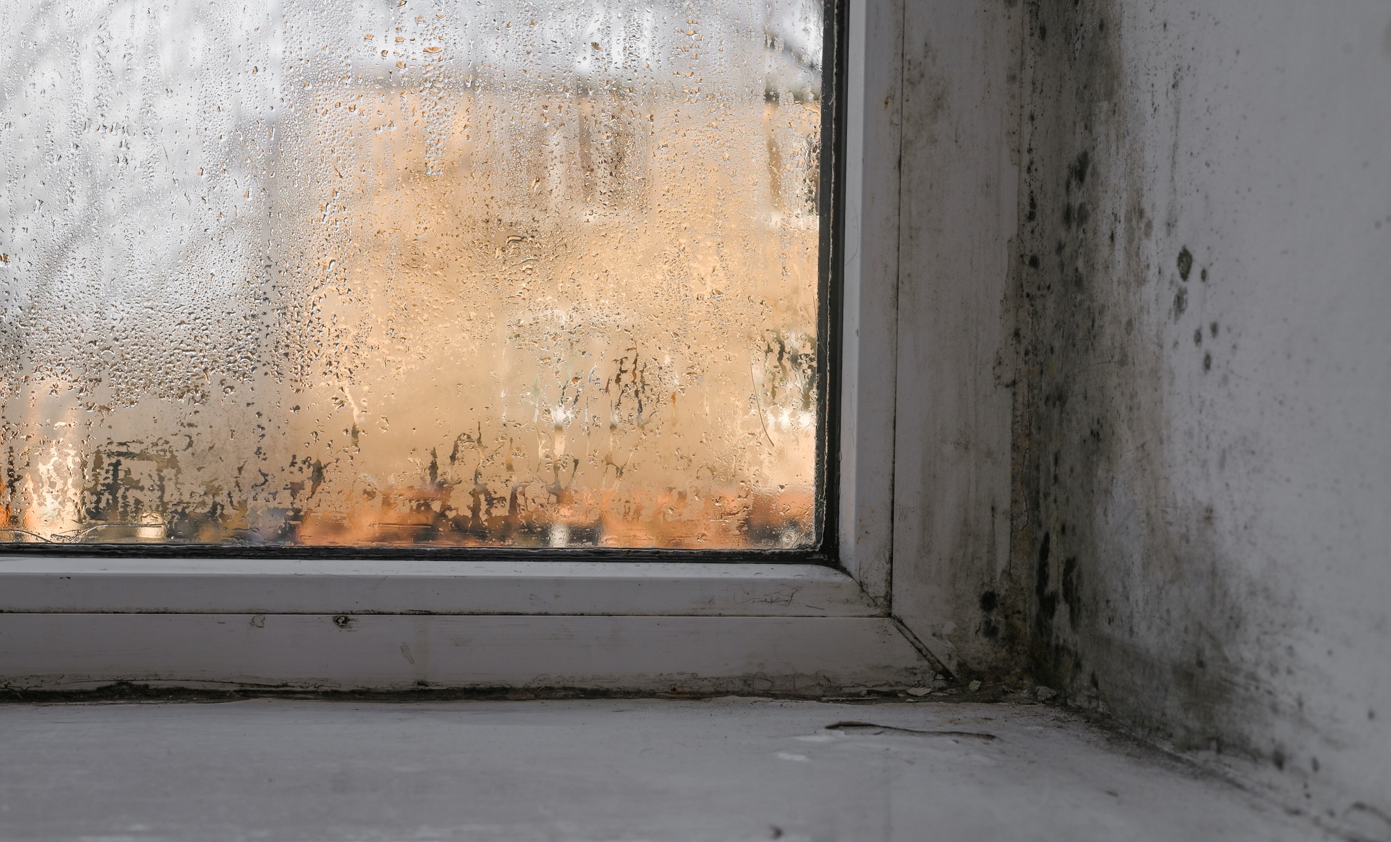 mold and mildew appear on the window