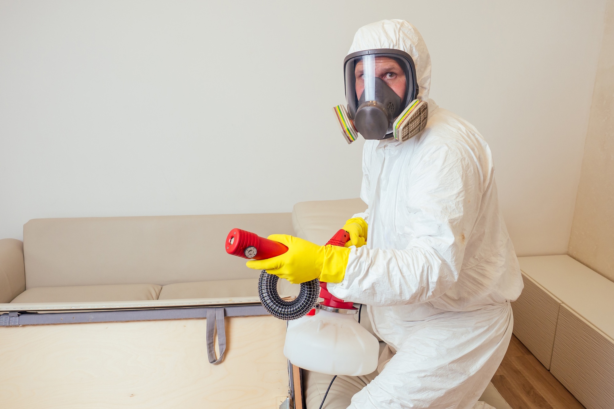 pest control worker in uniform spraying pesticides under couch in living lounge room